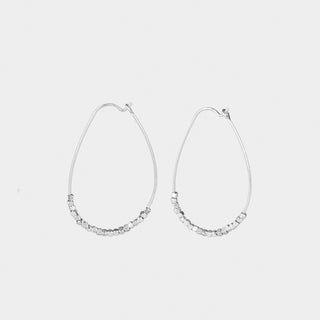 Silver Iron Seeds Dangle Earrings - Silver